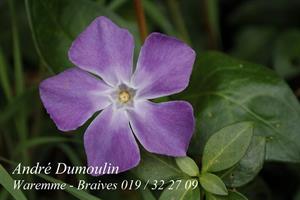 Photo 245962